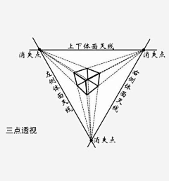 维克vc采集到透视素材