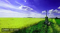 高清晰美丽的春天绿色自然风景摄影背景桌面壁纸图片素材