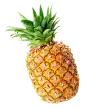 f400f1ed5bfe4fe0aa3c3592d0738f84