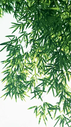 【高清手机壁纸。风景美图。城市风光摄影。设计灵感。桌面锁屏。日系韩系欧美。】❤️