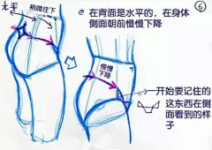 #SAI资源库#动漫人物女生腰部绘画设计参考，非常详细，自己借鉴，转需~（P站作者：ゼロ（ぬんぬ））