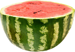 楠木南QU采集到各种 png