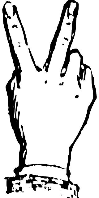 胜利手势.png