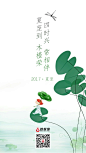 钱悦贷夏至海报2