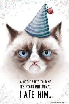 25张祝你生日快乐Happy Birthday彩色祝福卡片免费下载 | 句子喵，分享触动人心的美妙的句子，带有文字的图片壁纸，带有文字的桌面壁纸，带有句子的手机壁纸。|句子迷，句子摘抄，治愈系温柔的短句子，回忆的句子，句子控。 : 这些生日语录是一个很好的起点，但不要认为你必须只坚持这里写的内容。通过您与生日男孩或女孩之间的内部笑话或特殊时刻，更加个性化您生日贺卡中的情绪。以正确的意图发送由衷的、有创意的生日贺卡可以让某人的重要日子变得与众不同。用您最简单的生日祝福让 25张祝你生日快乐Happy Bir