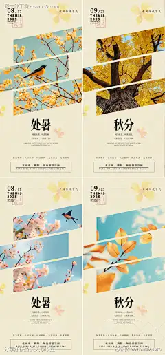 秋分桂花画眉ins风海报_源文件下载_PSD格式_2178X4685像素-系列,画眉鸟,梧桐树-作品编号:2025080911187434-志`设͵网