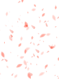 花瓣粉色素材png