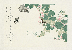 M梦野采集到日本艺术画