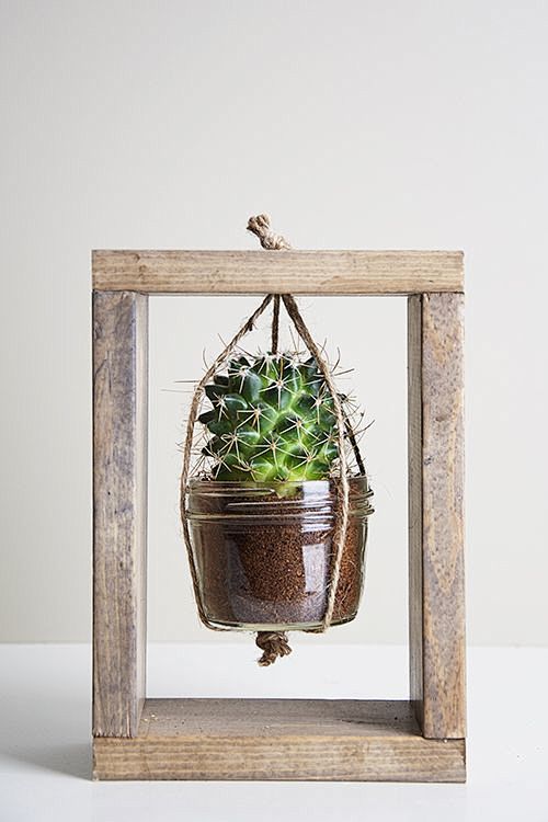 Cactus Planter Tutor...