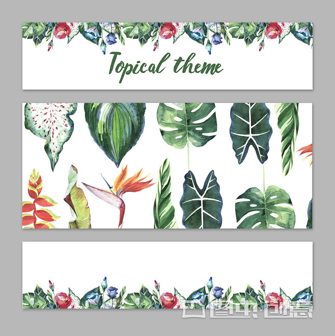 Tropical Hawaii leav...