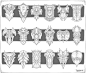 a-kilmetov-shields.jpg (1920×1659)