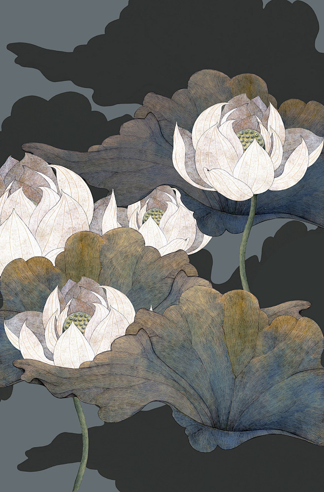 botany cd Drawing  F...