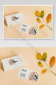 绿植暖色调名片办公用品图片图片