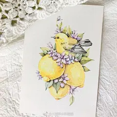 小清新，水彩手绘插画涂鸦