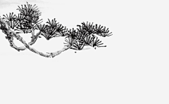 槡祭采集到古风元素