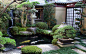 066#庭院##花园庭院#