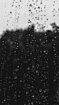窗户上的水露