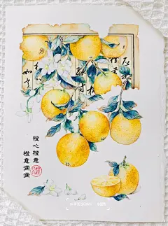秋实｜橙子篇_7_李浅浅QIAN_来自小红书网页版
