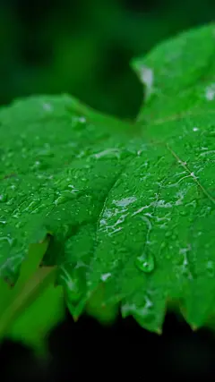 桌面壁纸预览_高清电脑桌面壁纸大全_风景壁纸_美女壁纸_动漫壁纸大全_漫漫看壁纸库