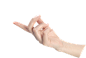 bc8e28e6c0d45db1d3dcf8a11812d84a