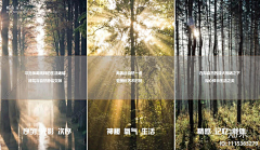 程超s采集到设计愿景