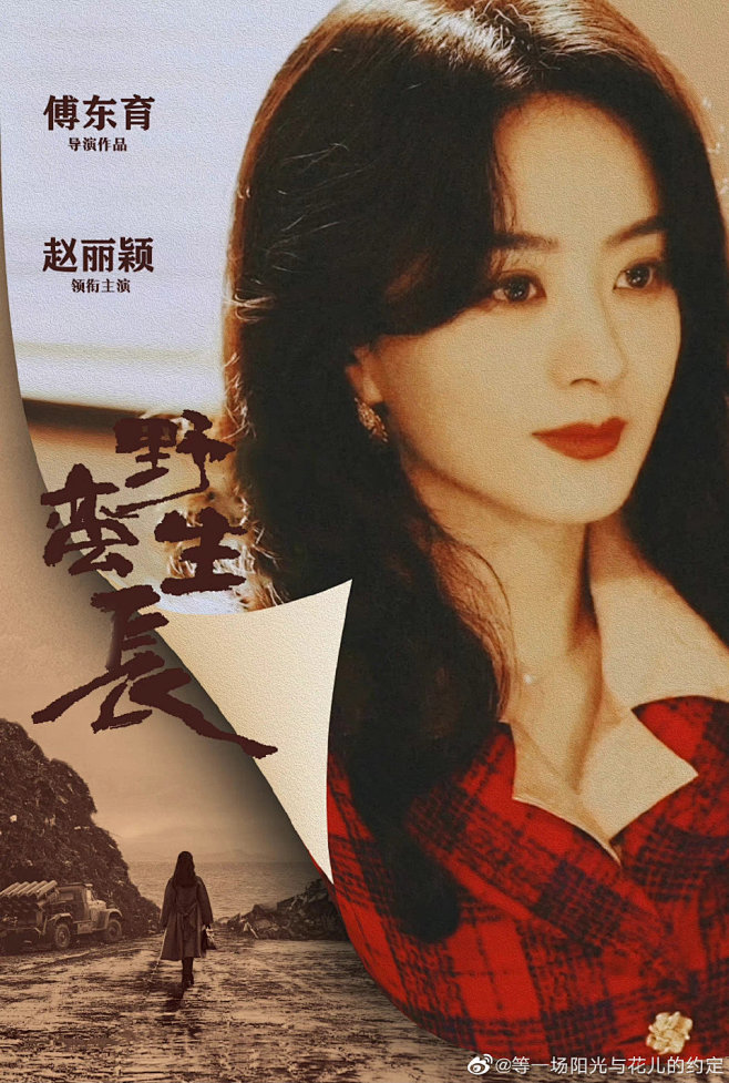 赵丽颖