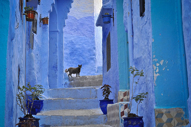 摩洛哥梦幻小城Chefchaouen，到...