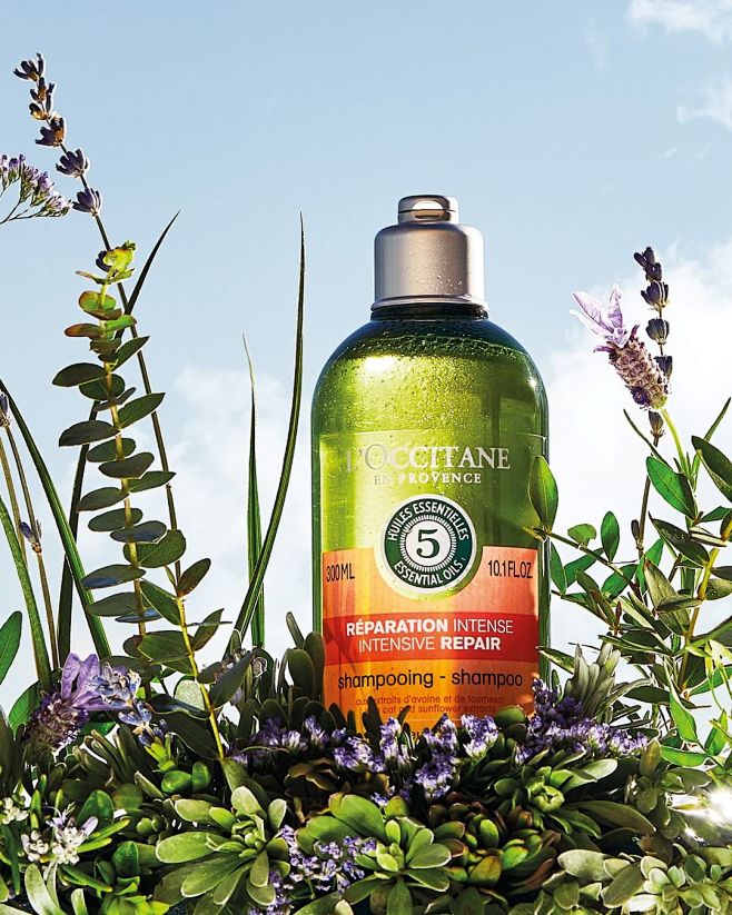 L'OCCITANE en Proven...