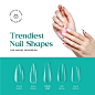 Amazon.com: Beetles Easy Gel Tips Nail Extension Kit, 2 In 1 Nail Glue Gel Base Coat with Pre-shaped Medium Almond Nails and UV LED Nail Lamp Acrylic Nail Clipper for Gel Art Polish DIY Manicure : Beauty & Personal Care