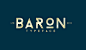 Baron,Total Recall #5: 45+ Great Web and Icon Fonts of 2013