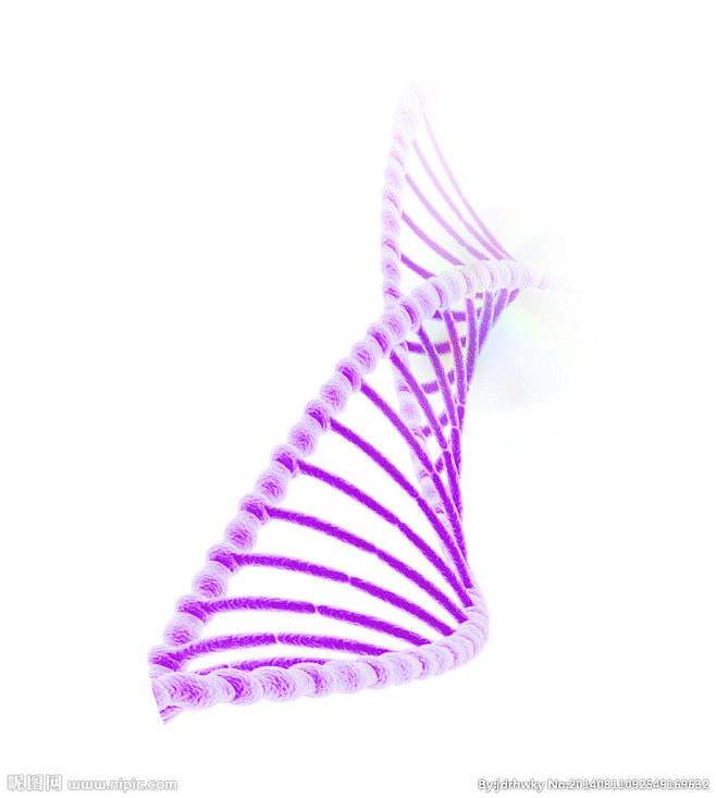DNA  生物  生物科学