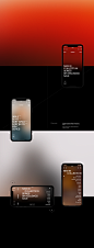 app app fashion app ui app ux mobile Mobile app Mobile UI Mobile UX zara zara app