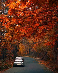 免費 停, 垂直拍攝, 壁紙 的 免費圖庫相片 圖庫相片