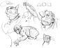 animal gestures