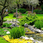 Serene garden: 