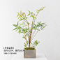 阿楹 北欧ins风绿植盆栽假草日式桌面仿真蕨类植物摆件绿叶装饰品-淘宝网