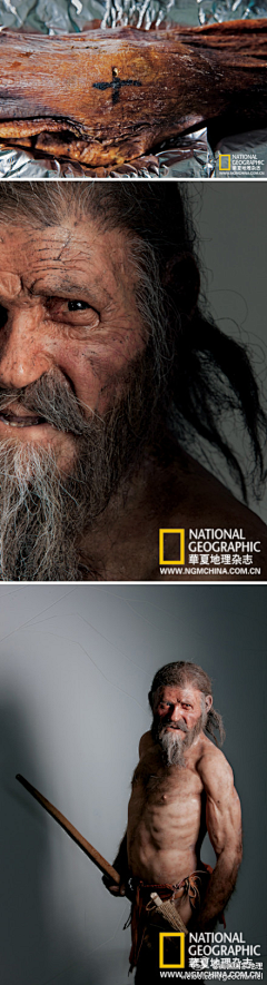 水瓶座的卡妙采集到人体