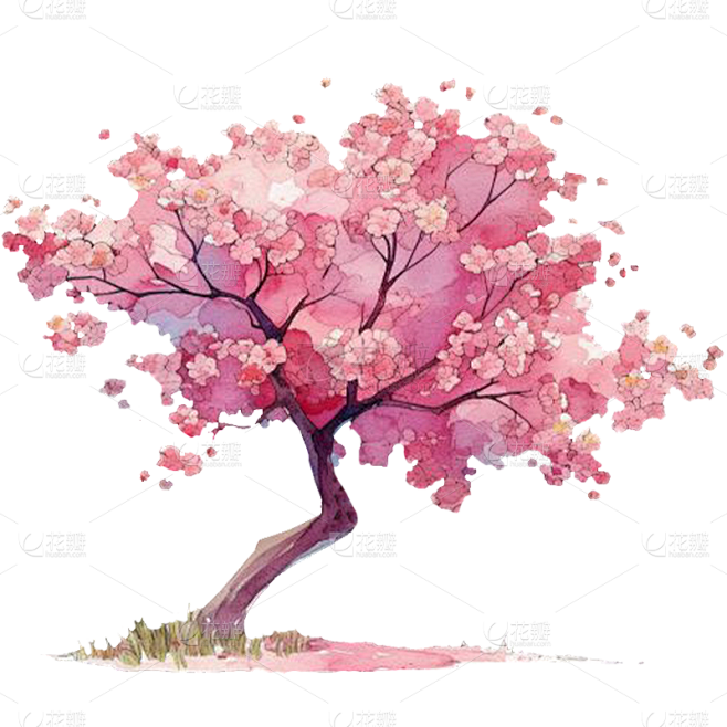 植物通用插画粉色单棵樱花树元素素材