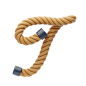 T  Letter  3D Icon