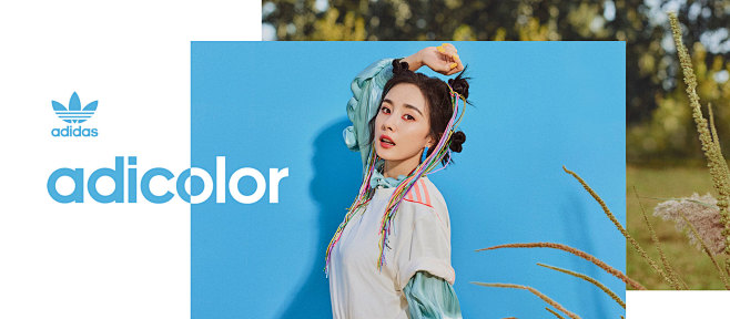 adicolor