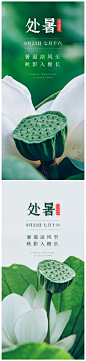 处暑节气海报