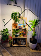 Amazon.com: 室内植物生长灯 - 升级版 80 个 LED 灯,全光谱和红蓝光谱,3/9/12H 定时器,10 个可调水平,可调节鹅颈,3 种开关模式: 阳台、庭院、花园用具