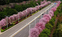 Щ【ＬＡＮ】采集到市政道路