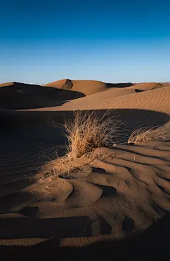 如何让照片通透_哔哩哔哩_bilibili