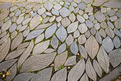 花园里的石头