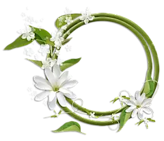 花圈