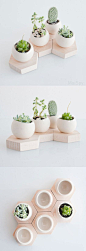 Hexagon Modular Planters: 