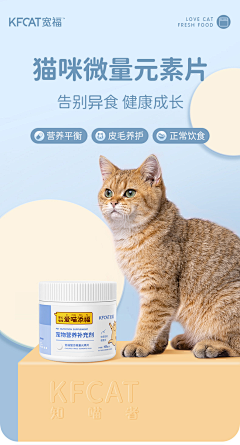 噌槿嘚妮蕞美采集到C-宠物主图