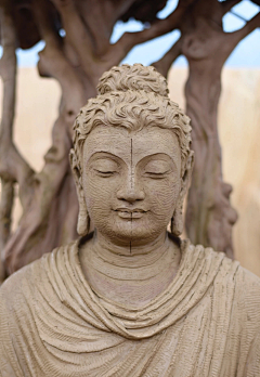 HaBill采集到佛像