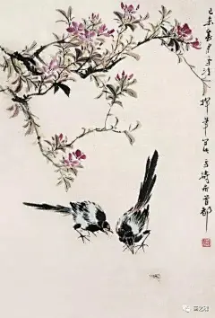 王雪涛花鸟作品，精选60幅!